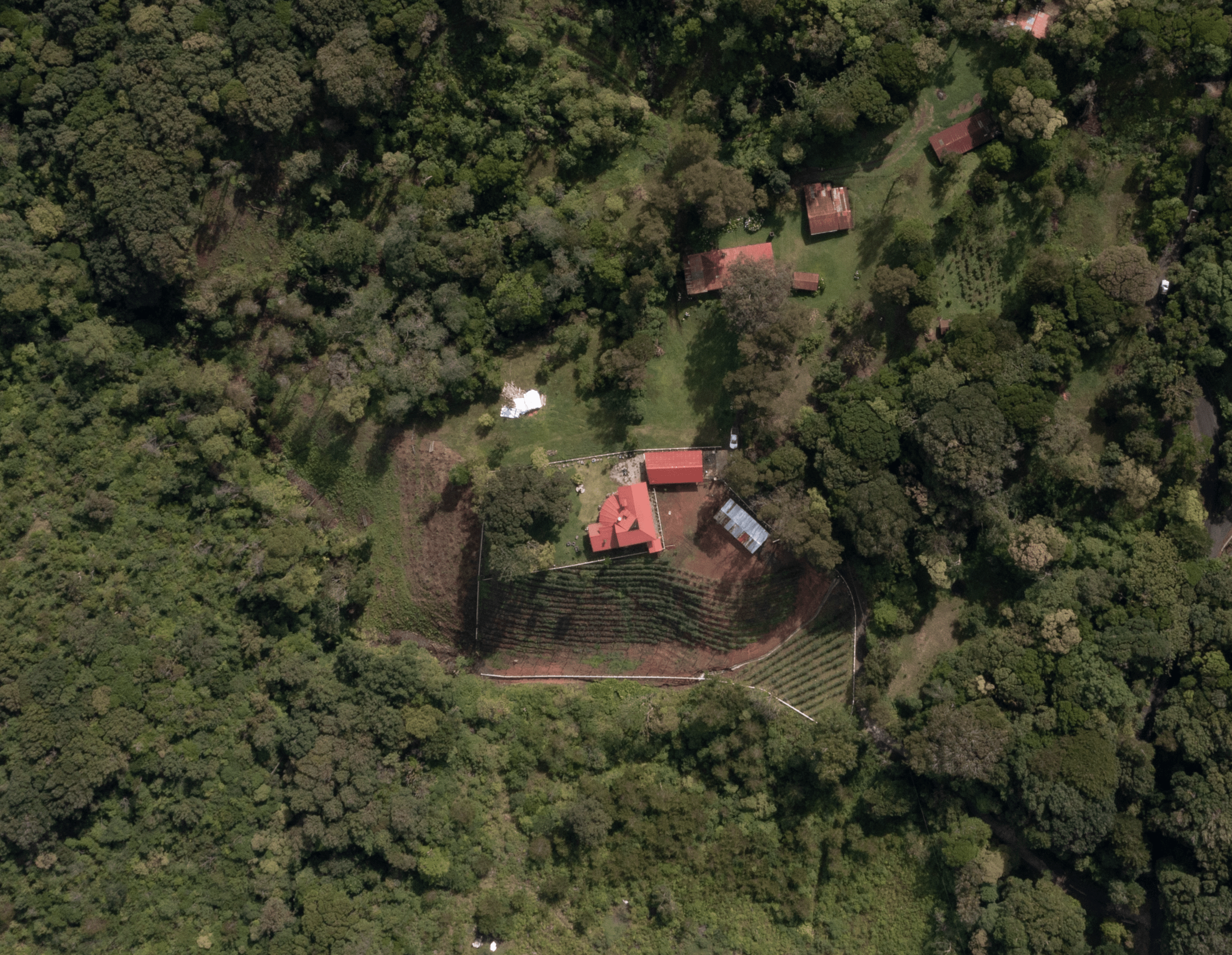 FINCA